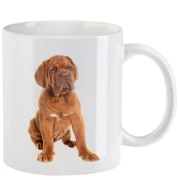 Tasse mit Mastiff