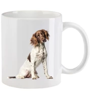 Tasse mit Münsterländer